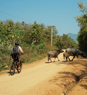 Hire a mountain bike and explore the remote area